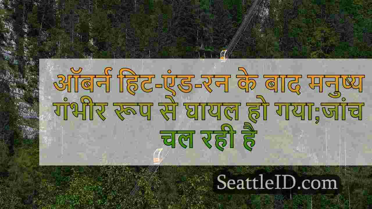 सिएटल समाचार SeattleID