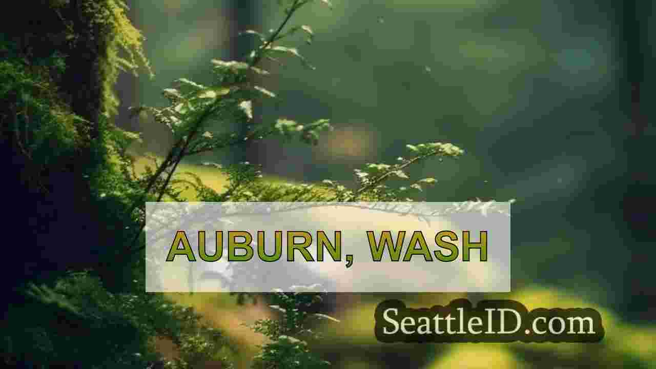 सिएटल समाचार SeattleID