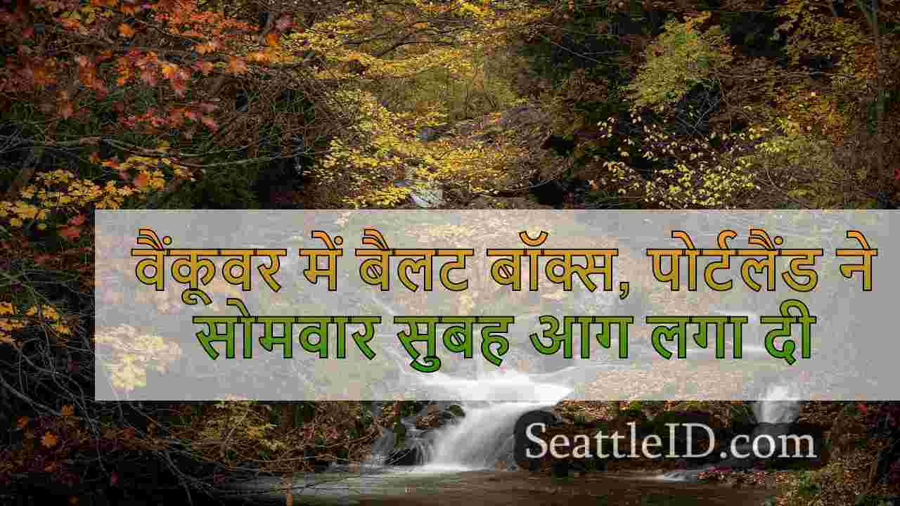 सिएटल समाचार SeattleID
