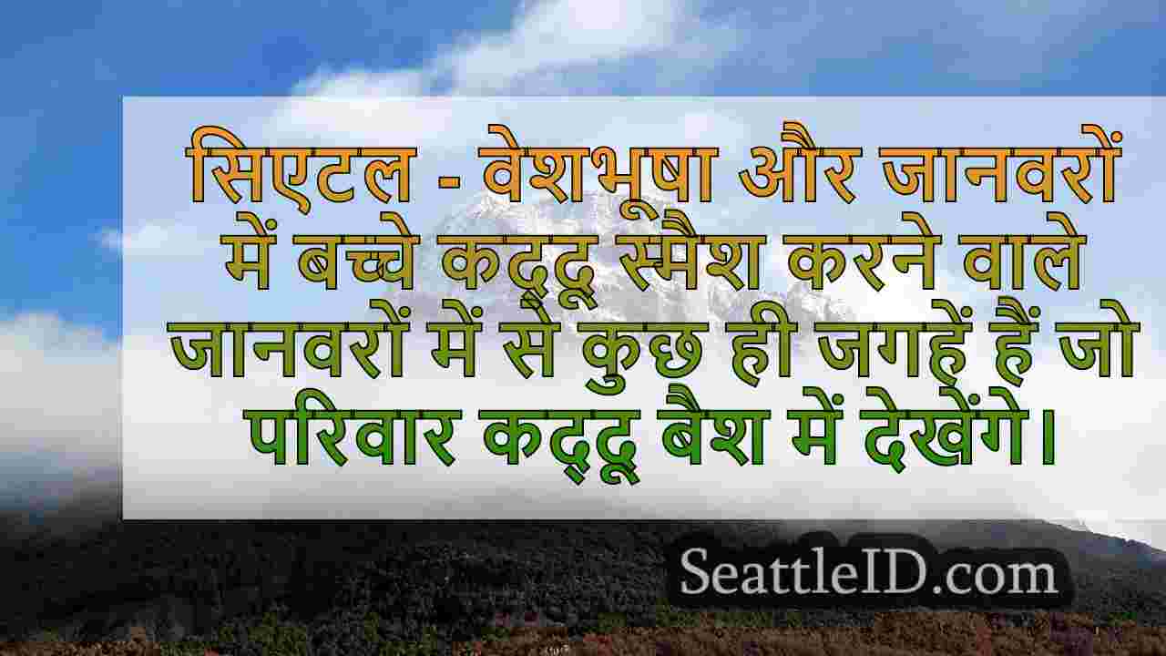 सिएटल समाचार SeattleID