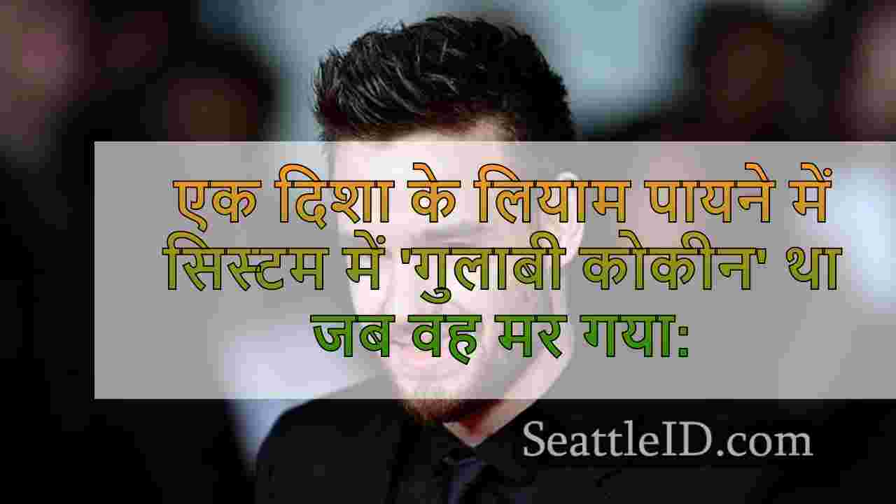 एक दिशा के लियाम पायने में सिस्टम में