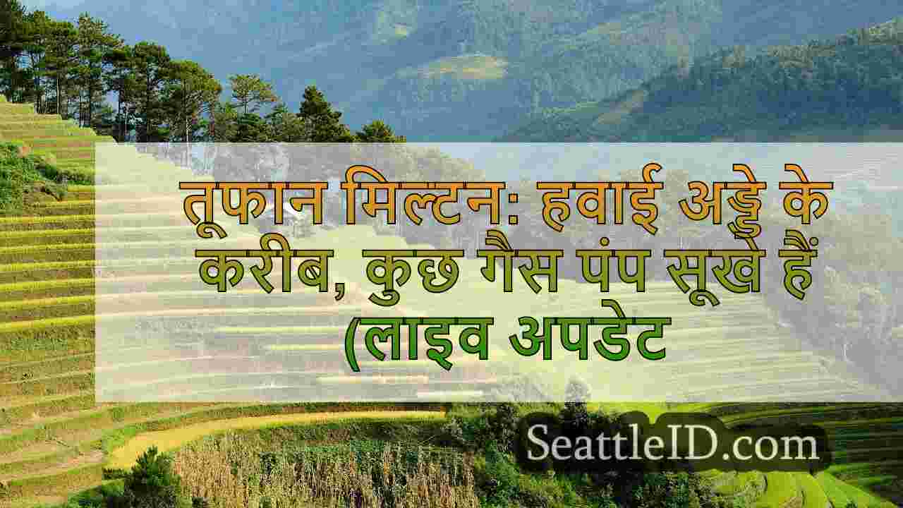 सिएटल समाचार SeattleID