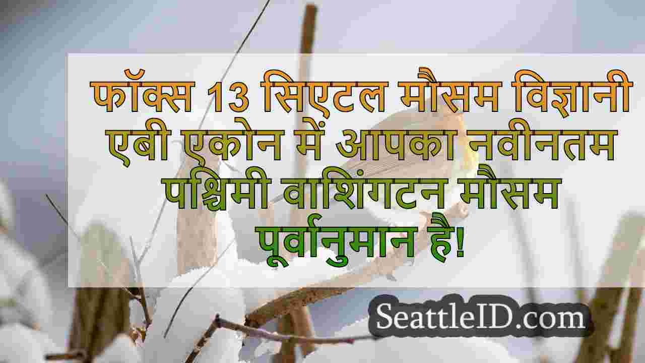 सिएटल समाचार SeattleID