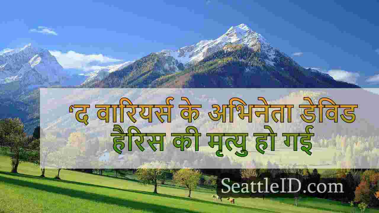 सिएटल समाचार SeattleID
