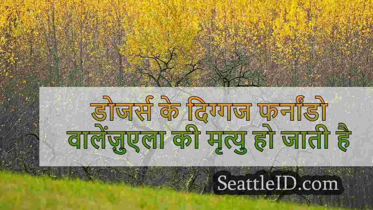 सिएटल समाचार SeattleID