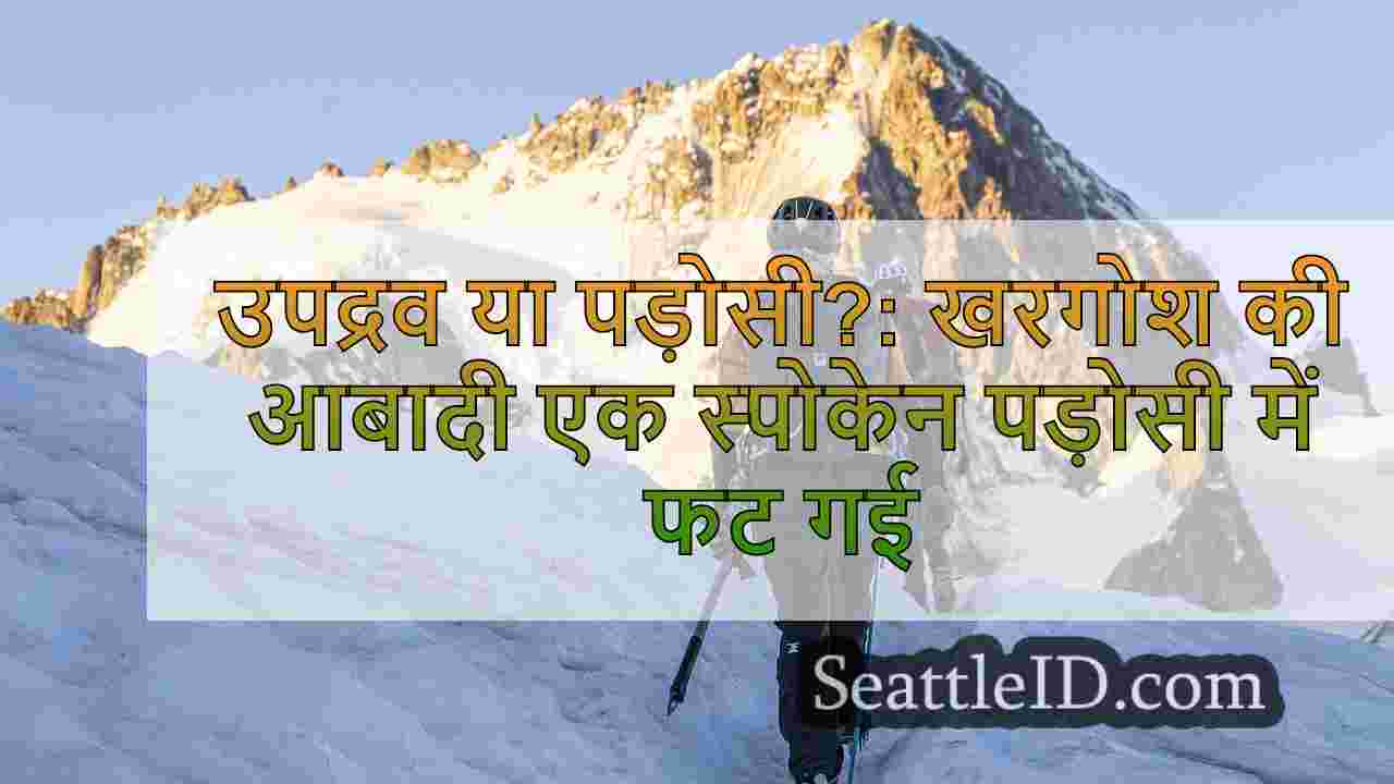 सिएटल समाचार SeattleID