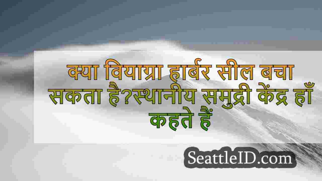 सिएटल समाचार SeattleID