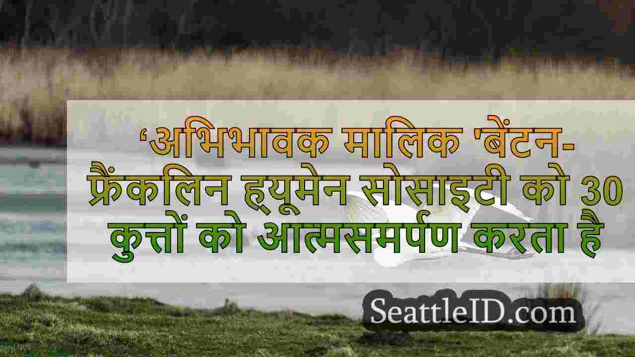 सिएटल समाचार SeattleID