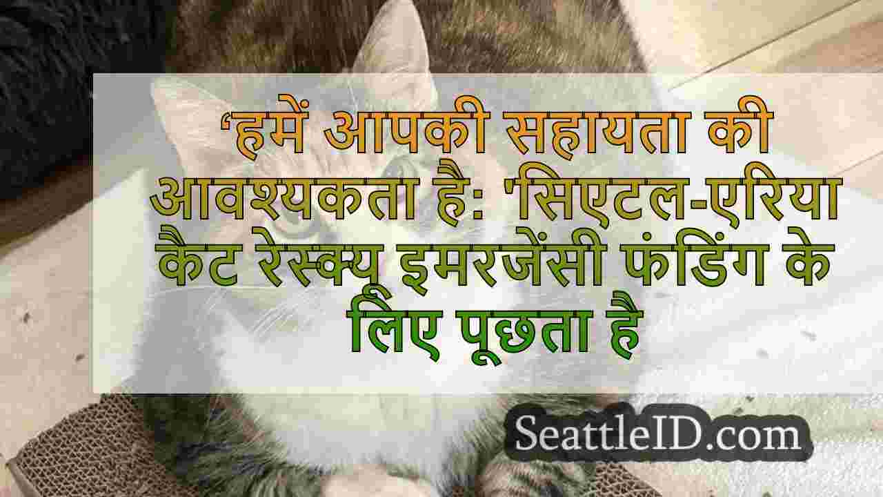 ‘हमें आपकी सहायता की आवश्यकता है: