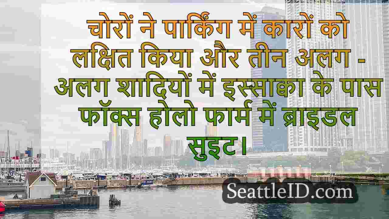 सिएटल समाचार SeattleID