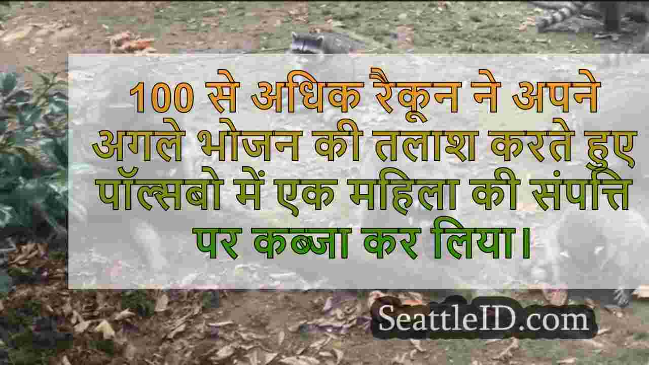 सिएटल समाचार SeattleID