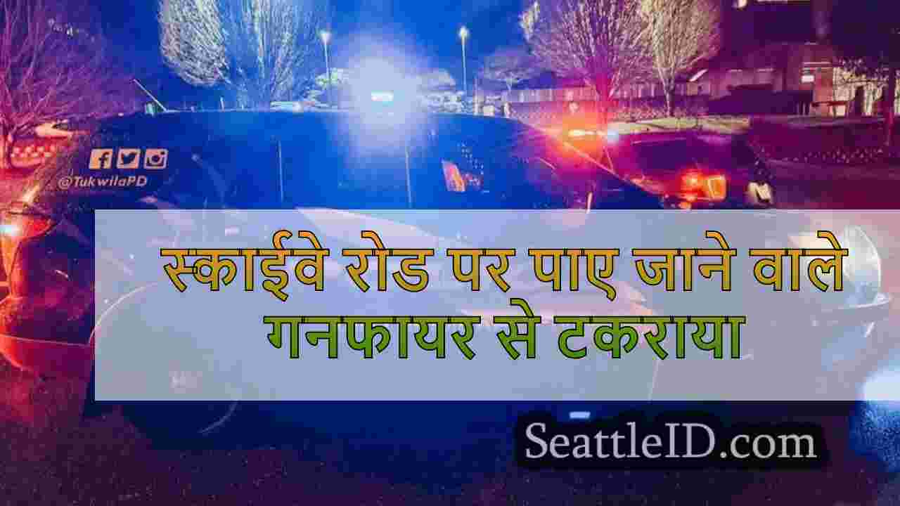 स्काईवे रोड पर पाए जाने वाले गनफायर से