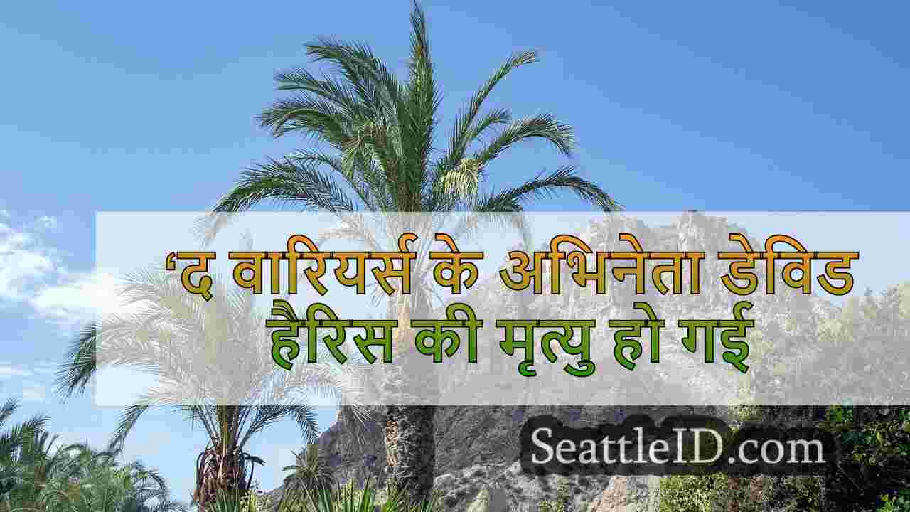 सिएटल समाचार SeattleID
