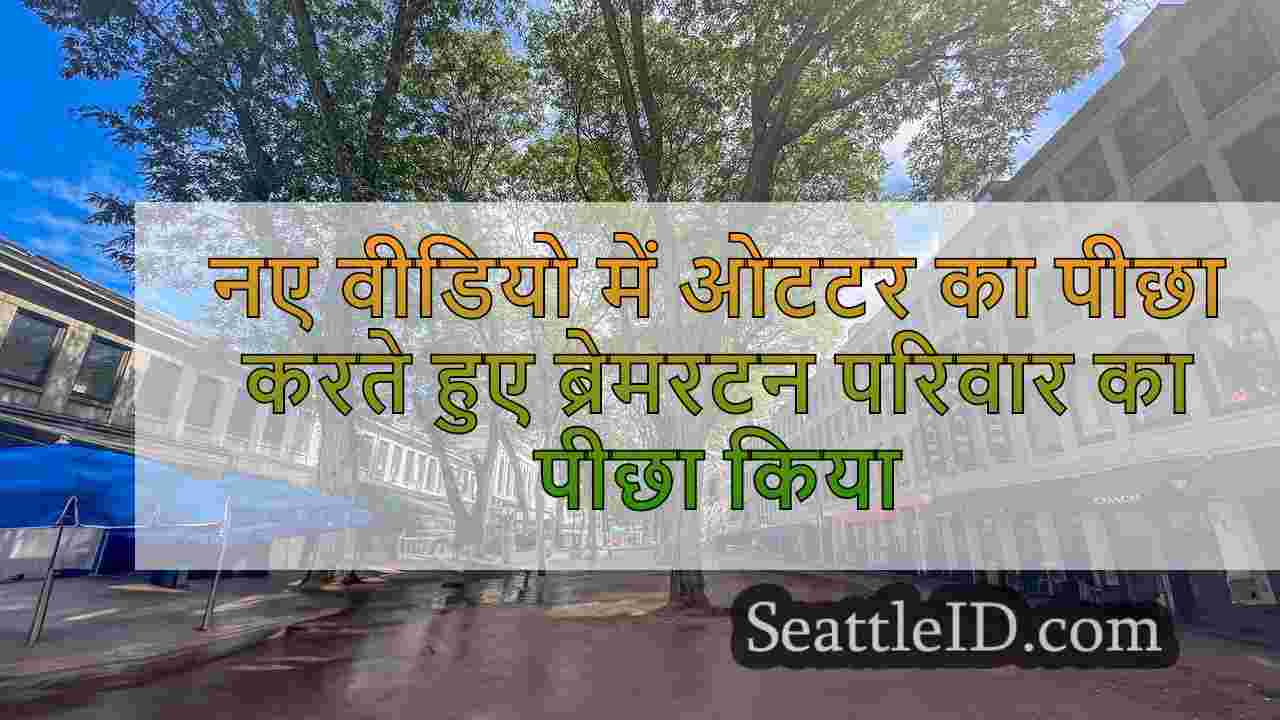 सिएटल समाचार SeattleID