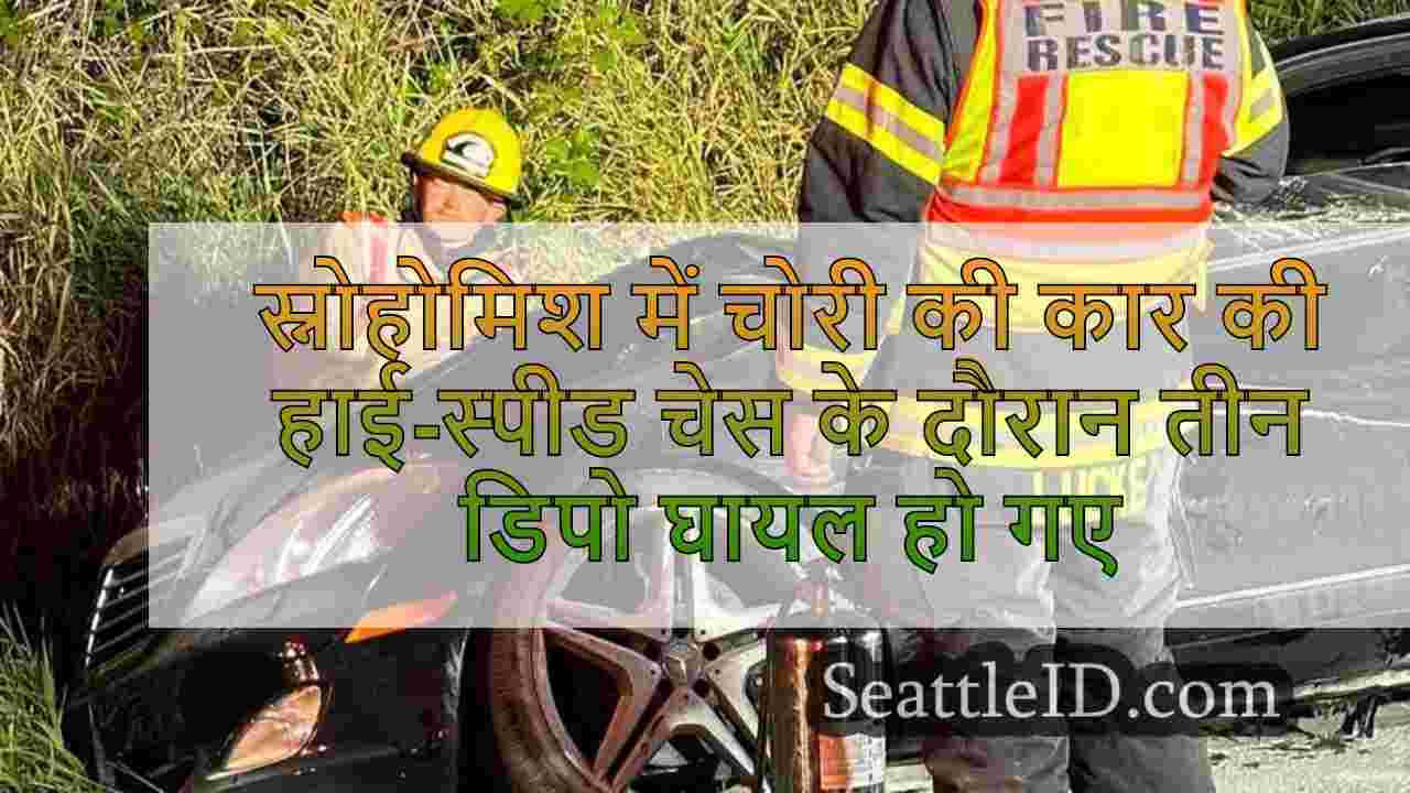स्नोहोमिश काउंटी में चोरी की कार की
