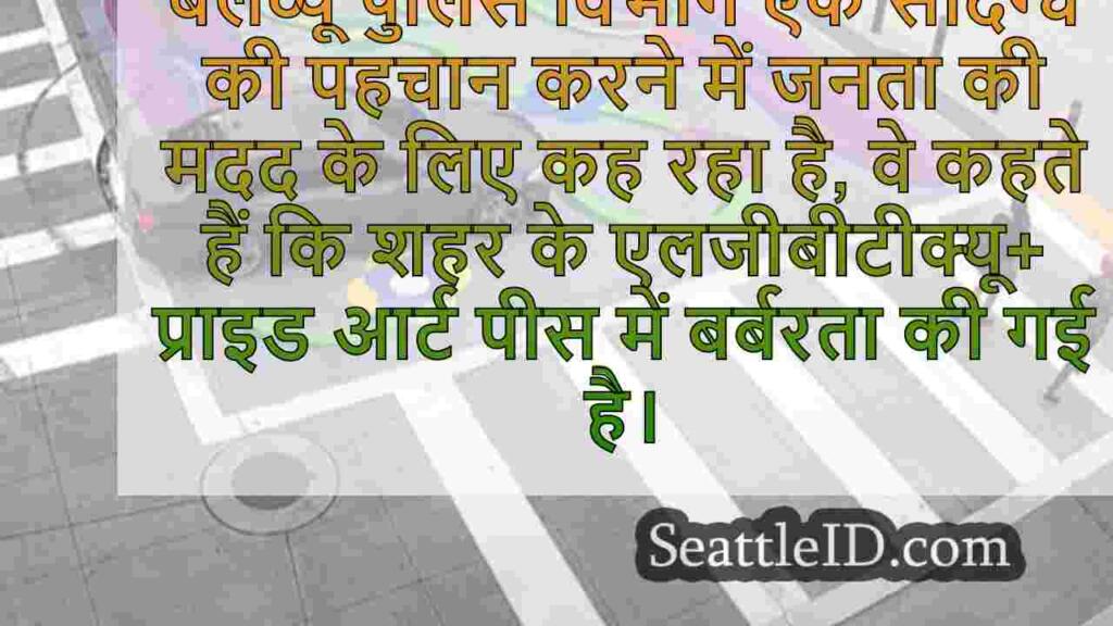 बेलेव्यू पुलिस ने गर्व कला बर्बरता में