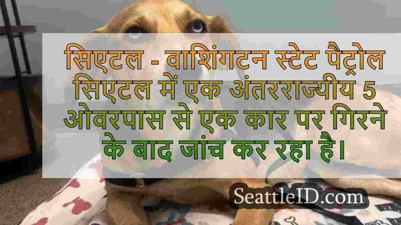 डॉग सिएटल, डब्ल्यूएसपी जांच में I-5