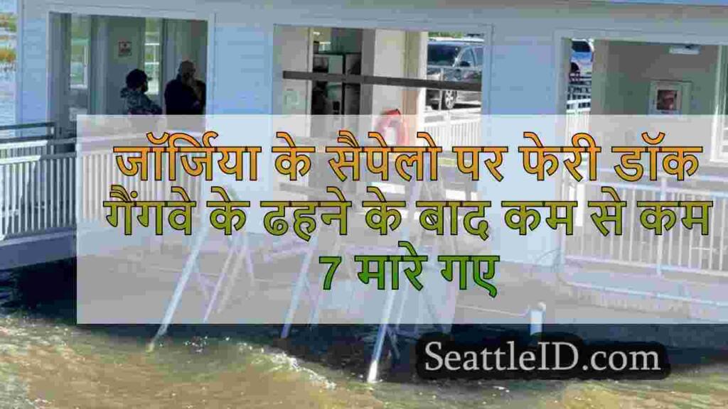जॉर्जिया के सैपेलो द्वीप पर फेरी डॉक