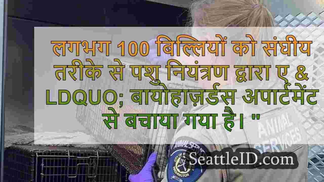 सिएटल समाचार SeattleID