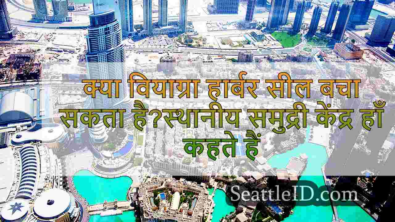 सिएटल समाचार SeattleID