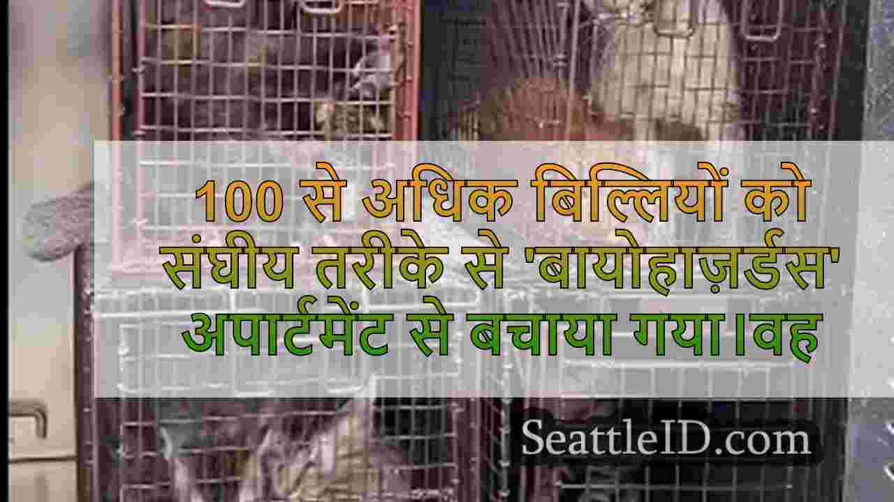 100 से अधिक बिल्लियों को संघीय तरीके से