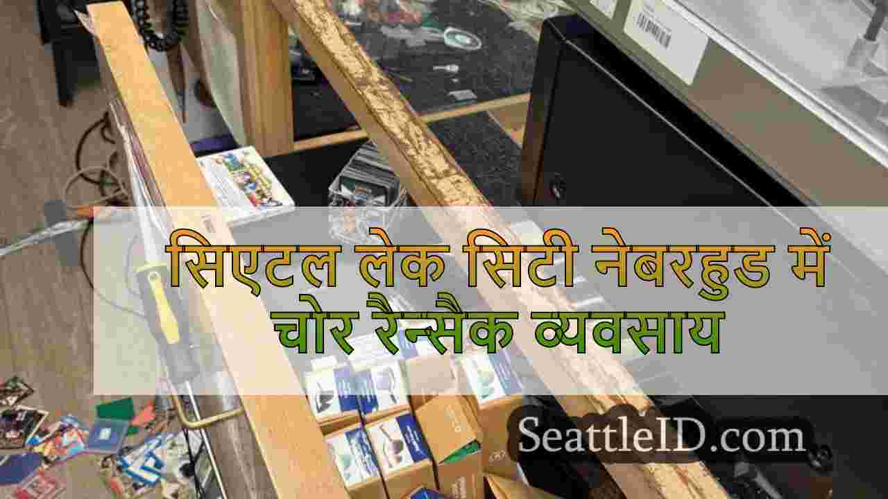 सिएटल लेक सिटी नेबरहुड में चोर रैन्सैक