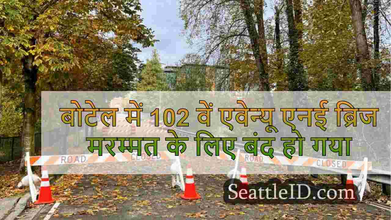 बोटेल में 102 वें एवेन्यू एनई ब्रिज