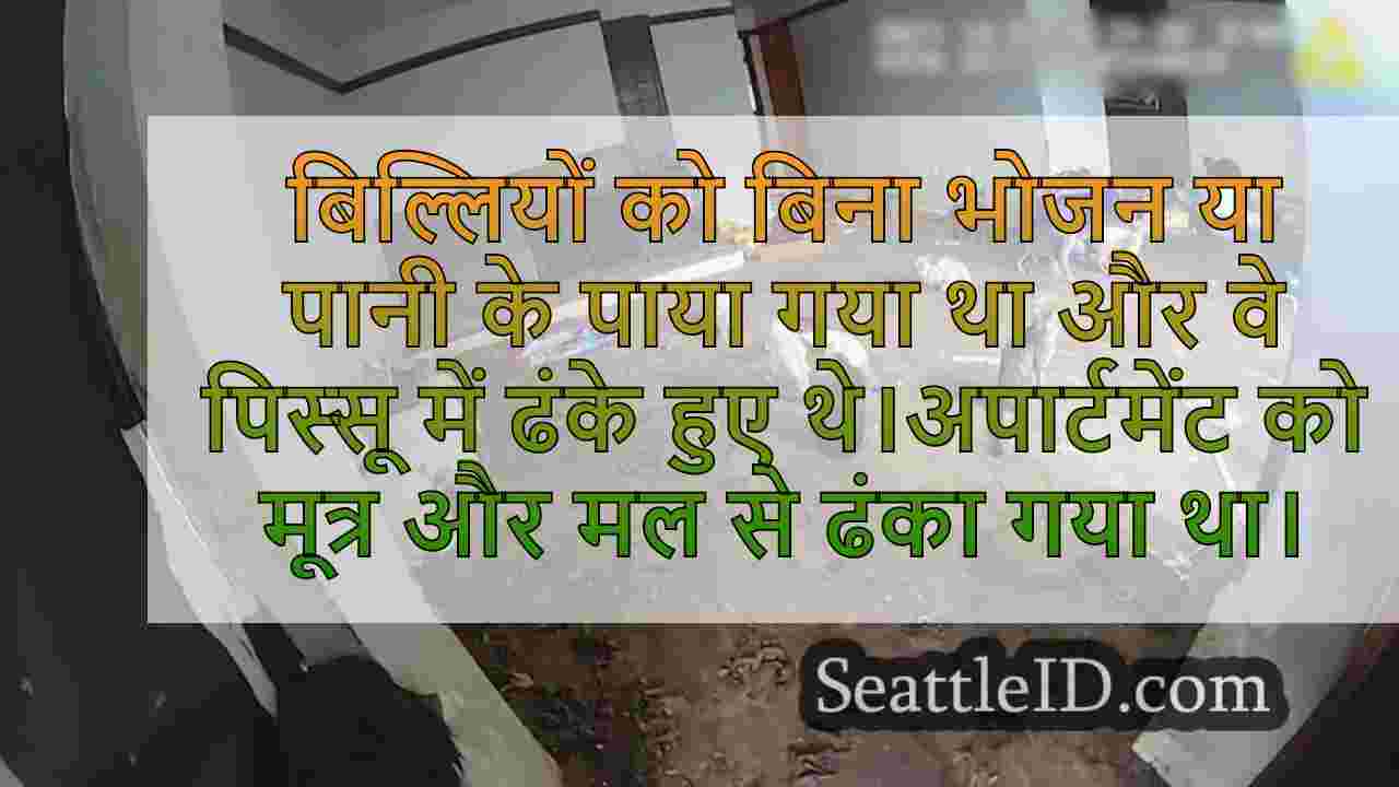 फेडरल वे अपार्टमेंट में परित्यक्त 100