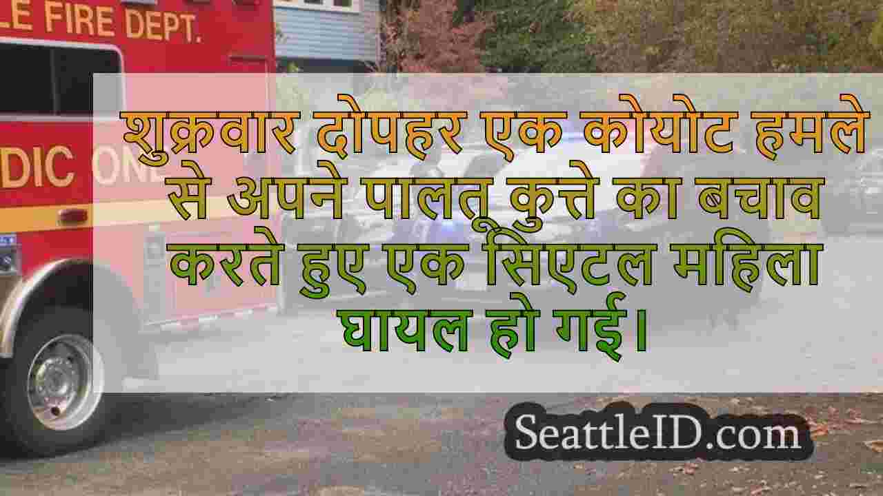 सिएटल समाचार SeattleID
