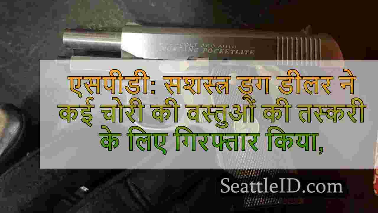 एसपीडी: सशस्त्र ड्रग डीलर ने कई चोरी की