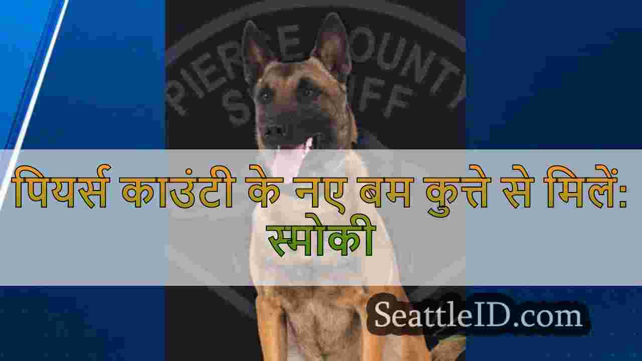 पियर्स काउंटी के नए बम कुत्ते से मिलें: