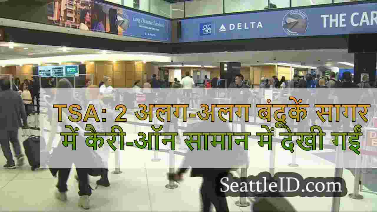 TSA: 2 अलग-अलग बंदूकें सागर में कैरी-ऑन
