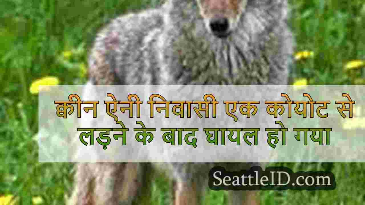 क्वीन ऐनी निवासी अपने कुत्ते पर हमला