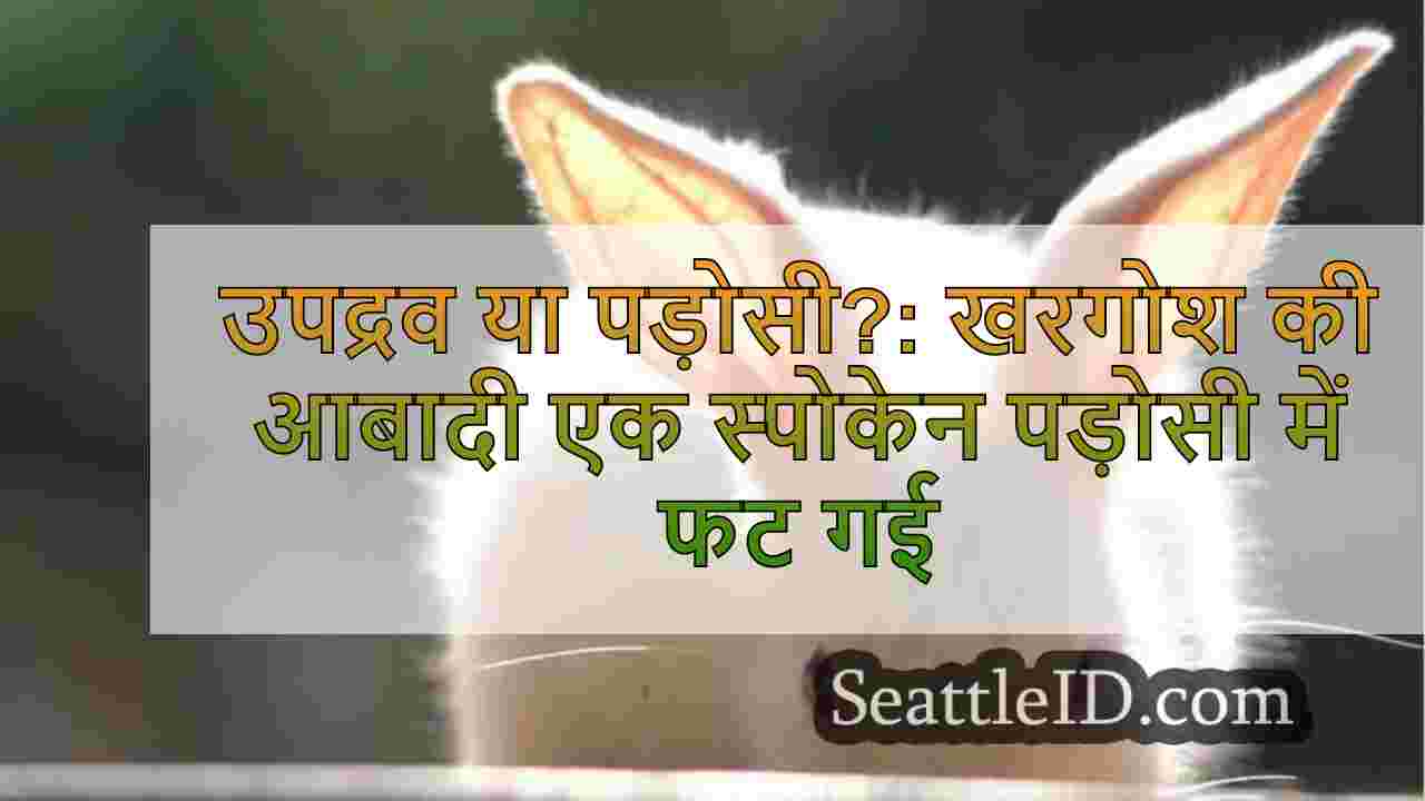 उपद्रव या पड़ोसी?: खरगोश की आबादी एक