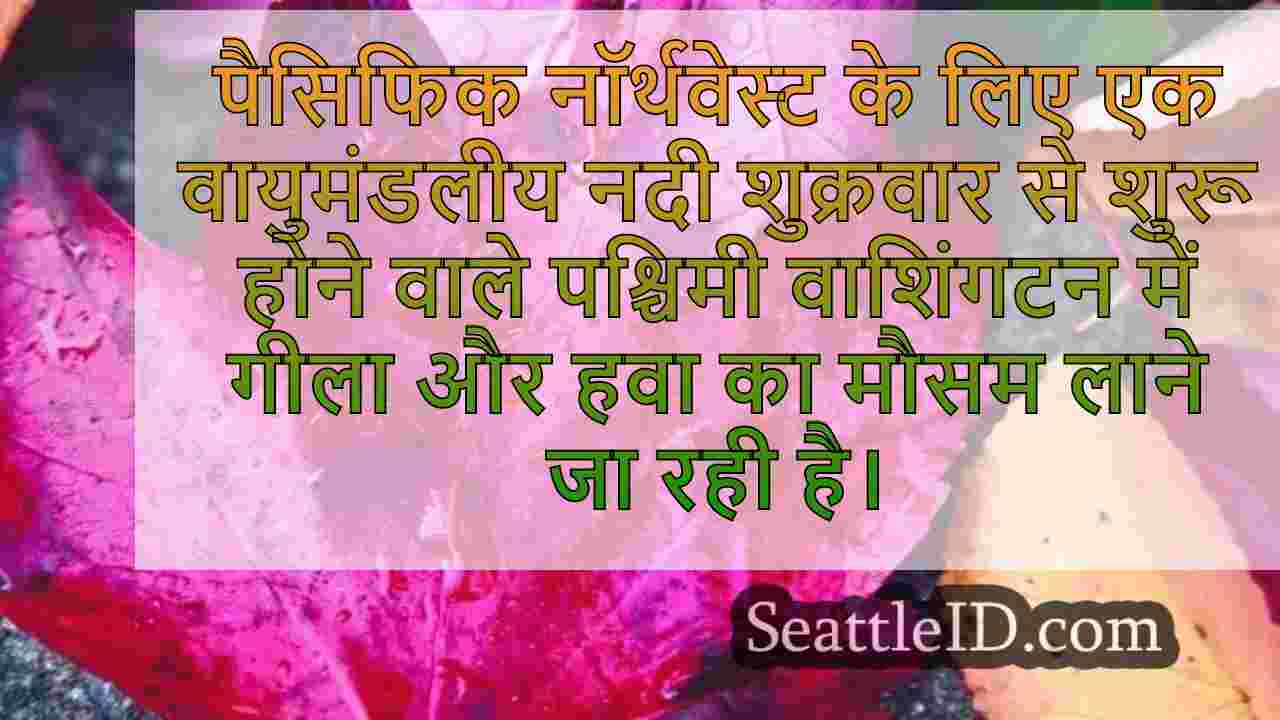 सिएटल समाचार SeattleID