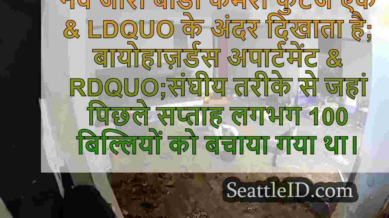 सिएटल समाचार SeattleID
