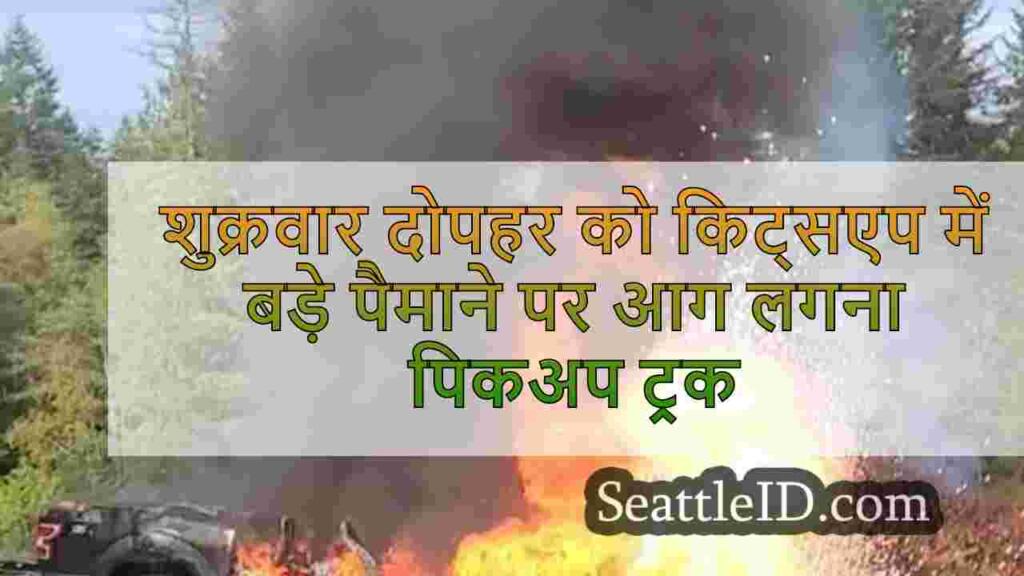 शुक्रवार दोपहर को किट्सएप में बड़े