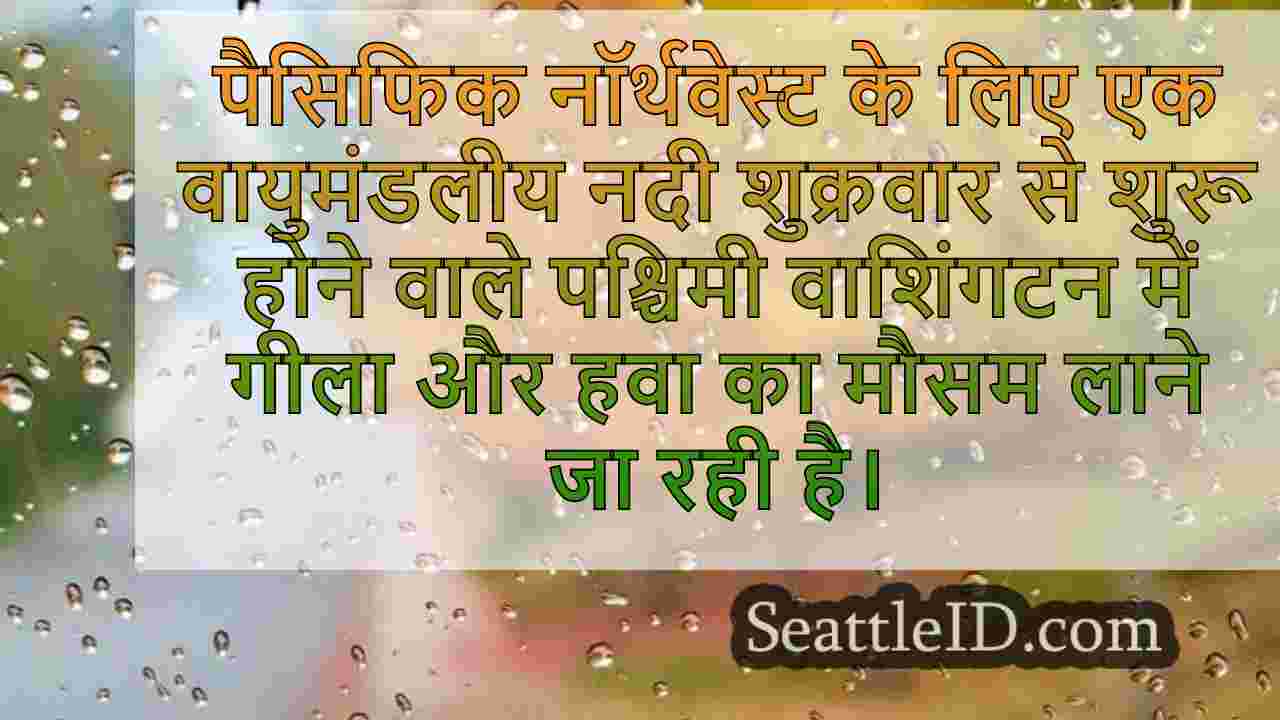 सिएटल समाचार SeattleID