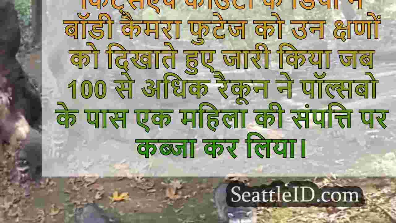 सिएटल समाचार SeattleID