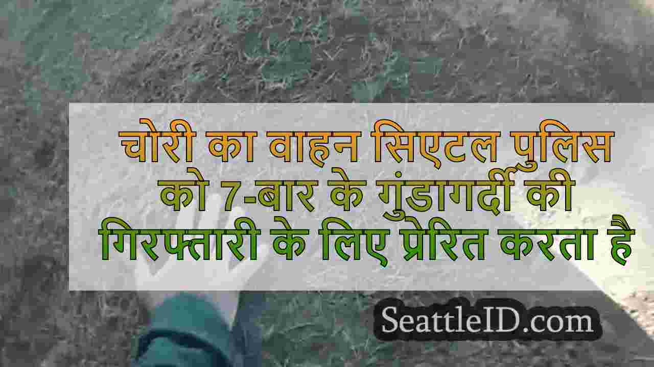 चोरी का वाहन सिएटल पुलिस को 7-बार के