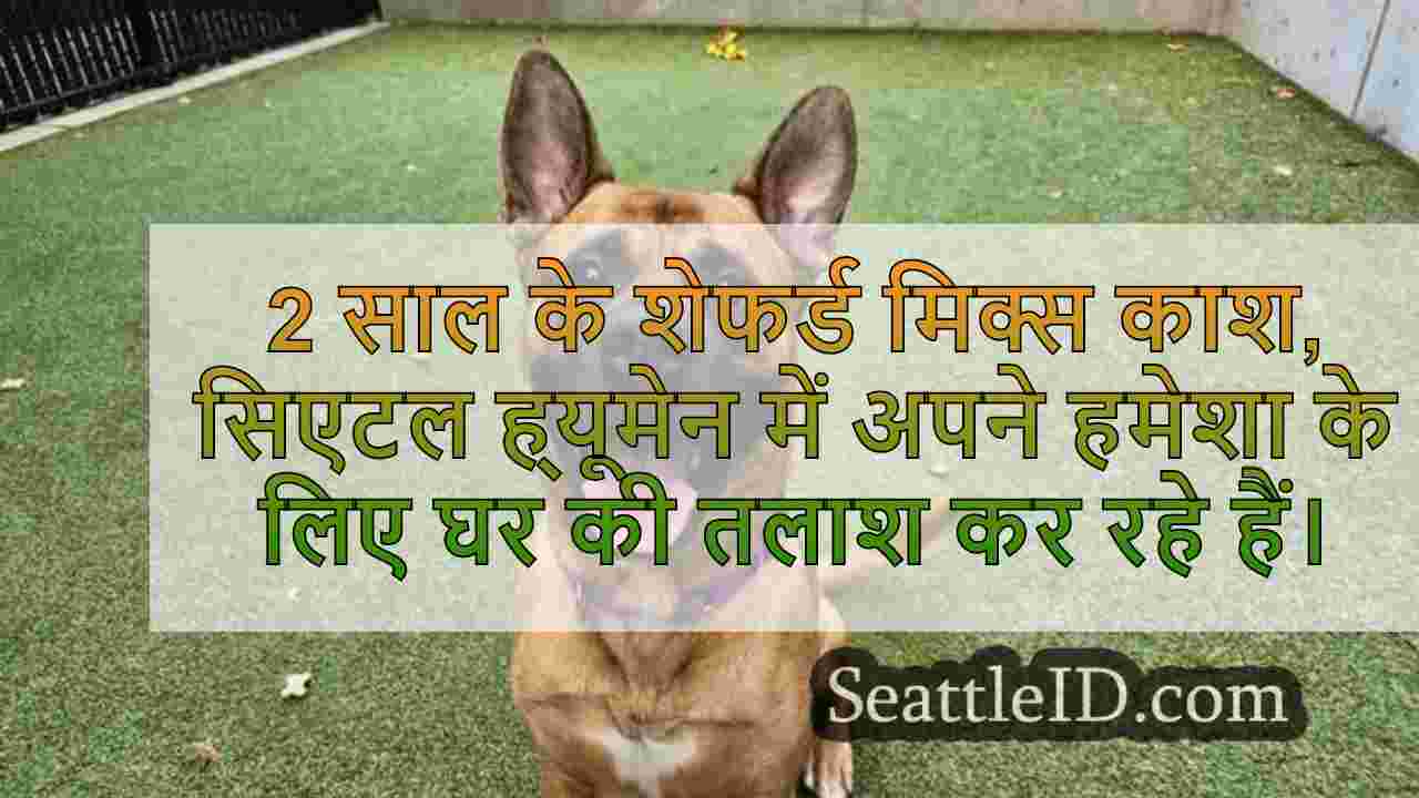 सिएटल समाचार SeattleID