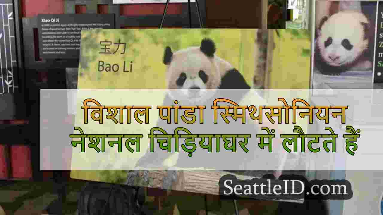 विशाल पांडा स्मिथसोनियन नेशनल चिड़ियाघर