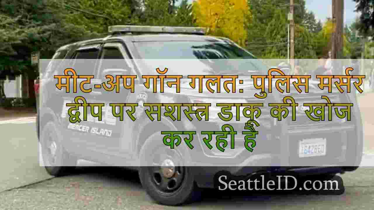 मीट-अप गॉन गलत: पुलिस मर्सर द्वीप पर