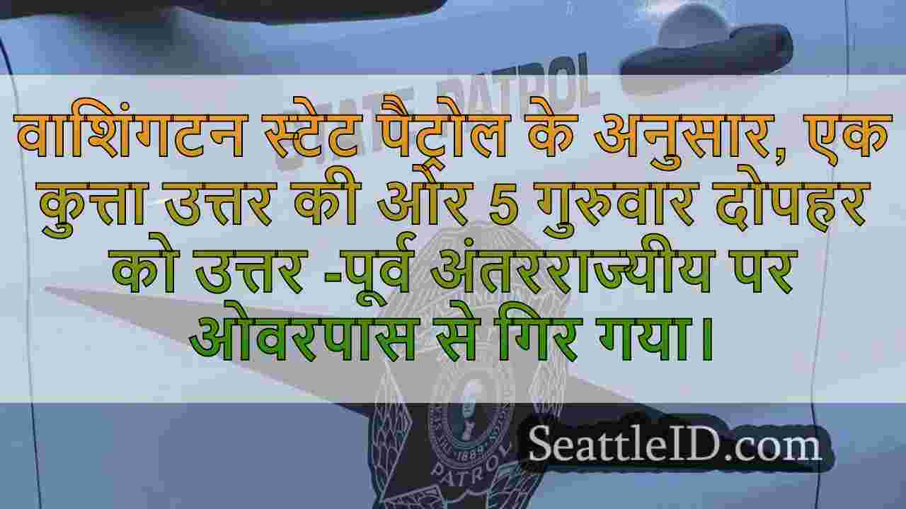 सिएटल में अंतरराज्यीय 5 पर ओवरपास से