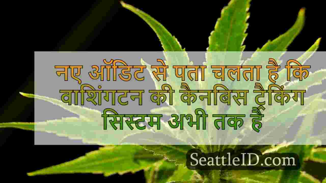 नए ऑडिट से पता चलता है कि वाशिंगटन की
