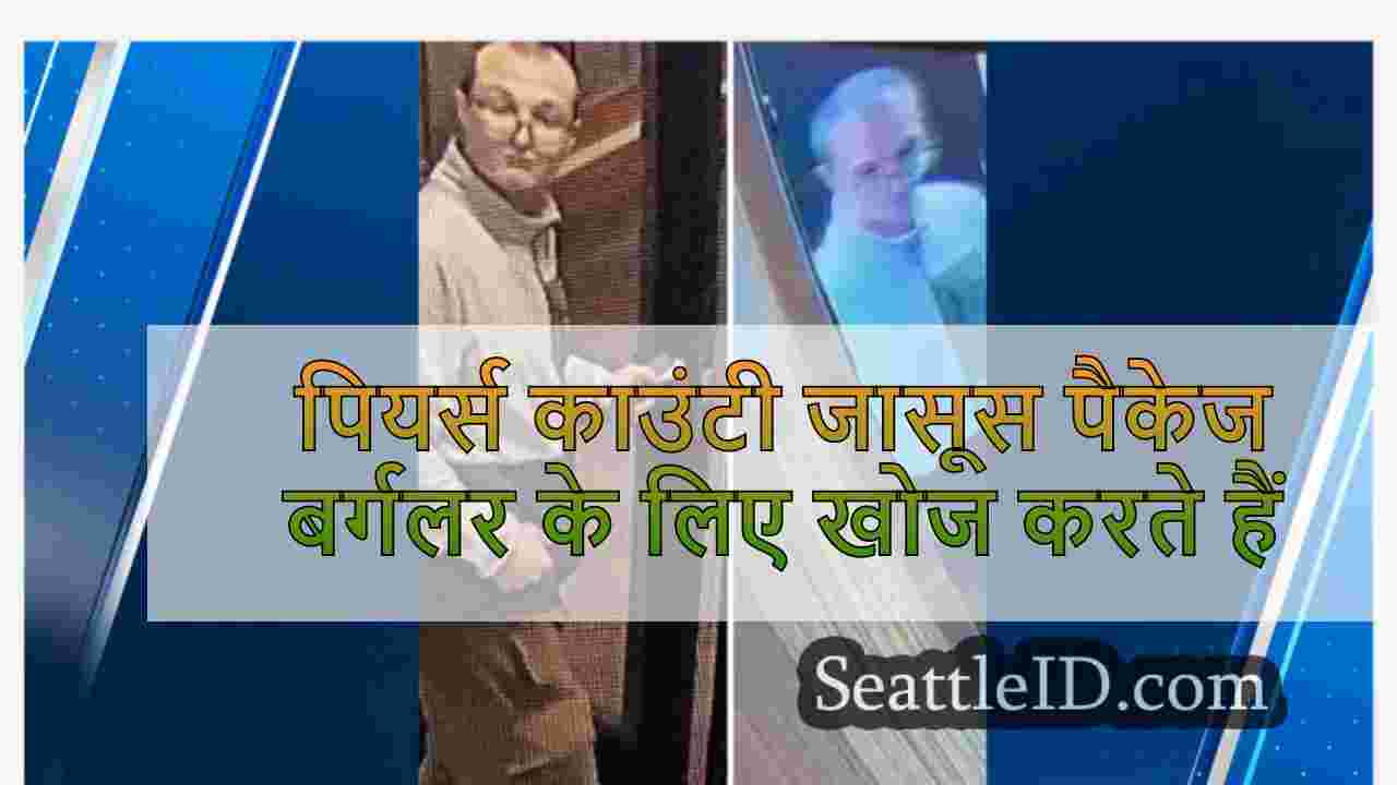 पियर्स काउंटी जासूस पैकेज बर्गलर के लिए