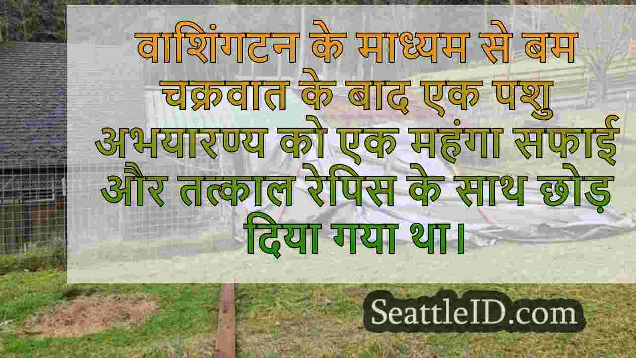 सिएटल समाचार SeattleID