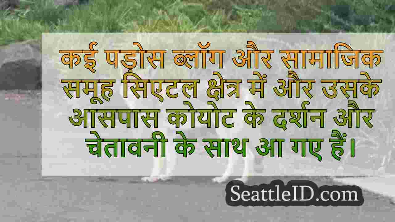 सिएटल समाचार SeattleID