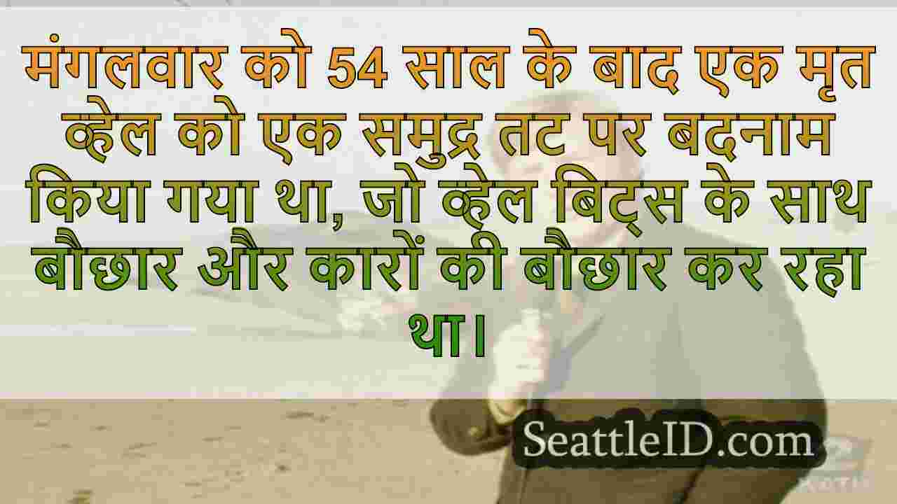सिएटल समाचार SeattleID