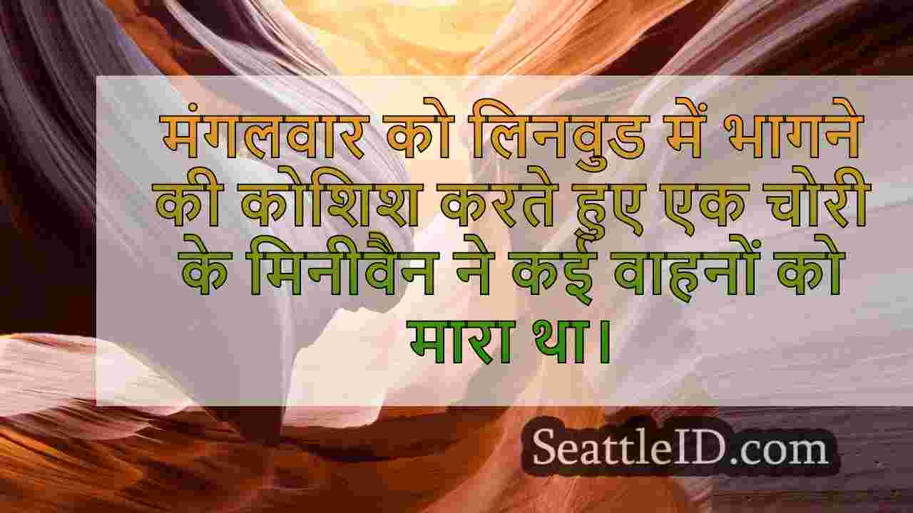 सिएटल समाचार SeattleID